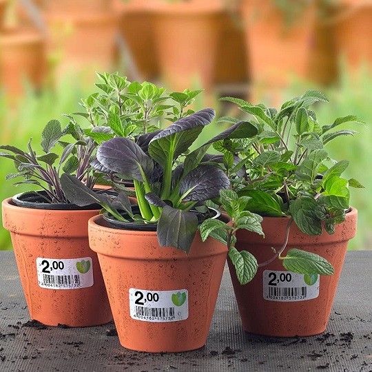 Labels for plants