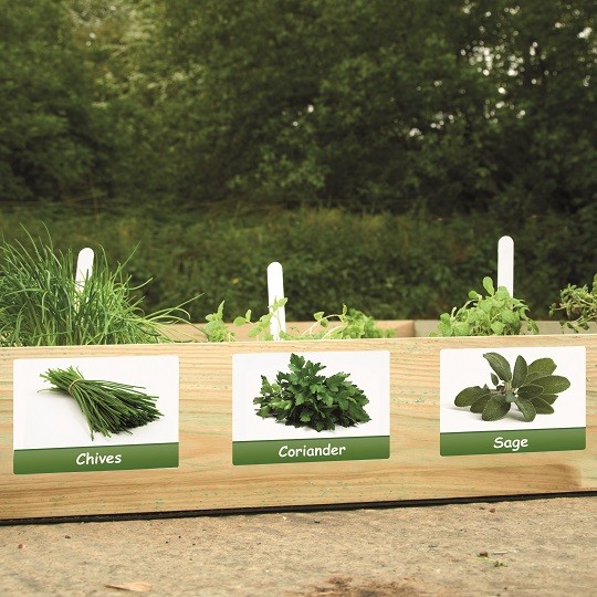 Garden labels